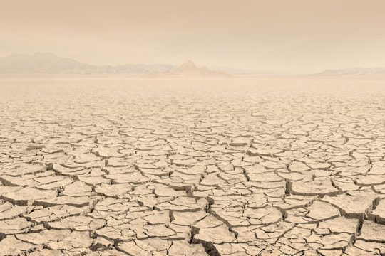 erimopoiisi desertification